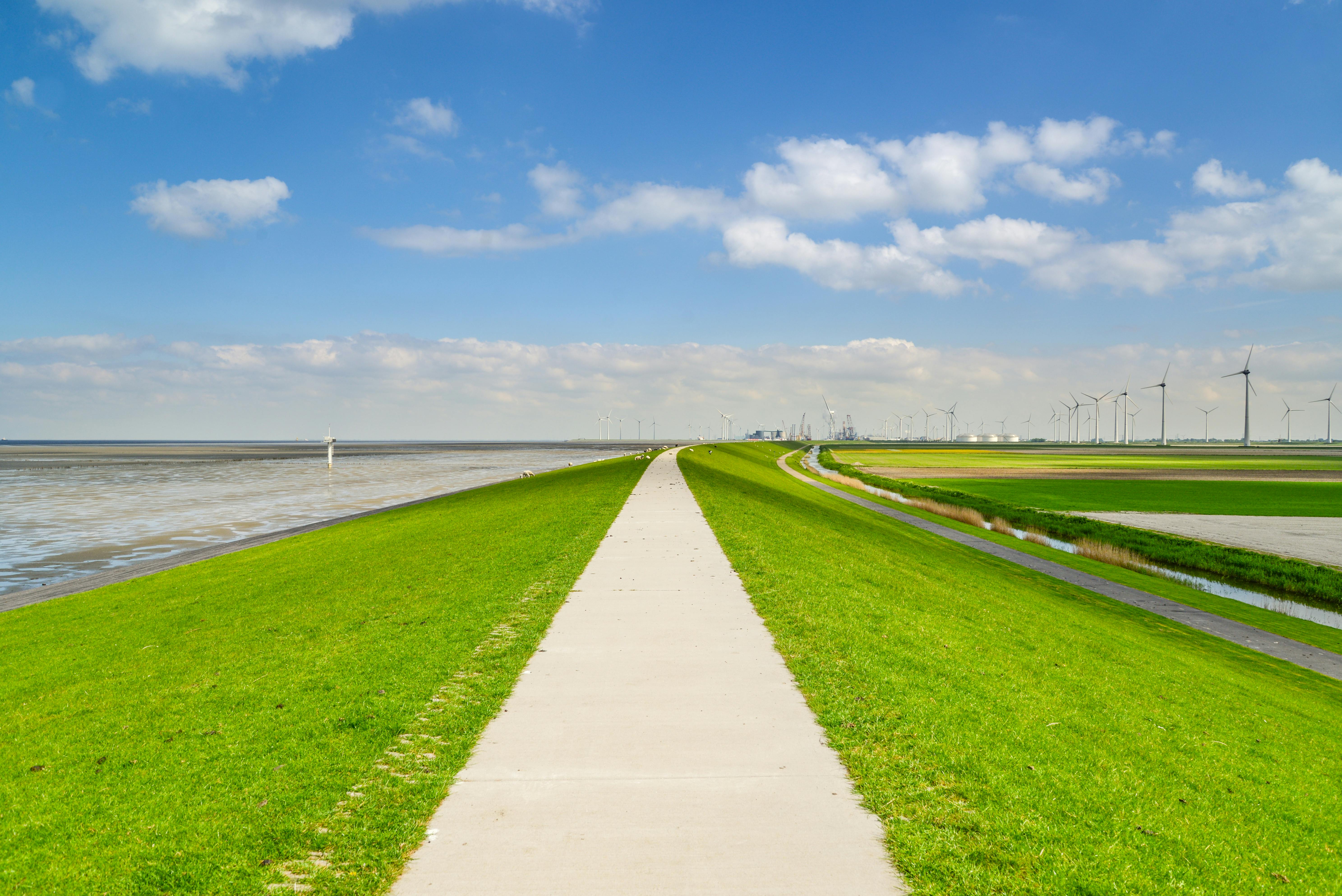 Pavement on grass with wind turbines in the background
