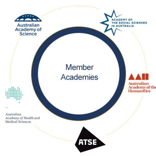Infographic of member academy logos