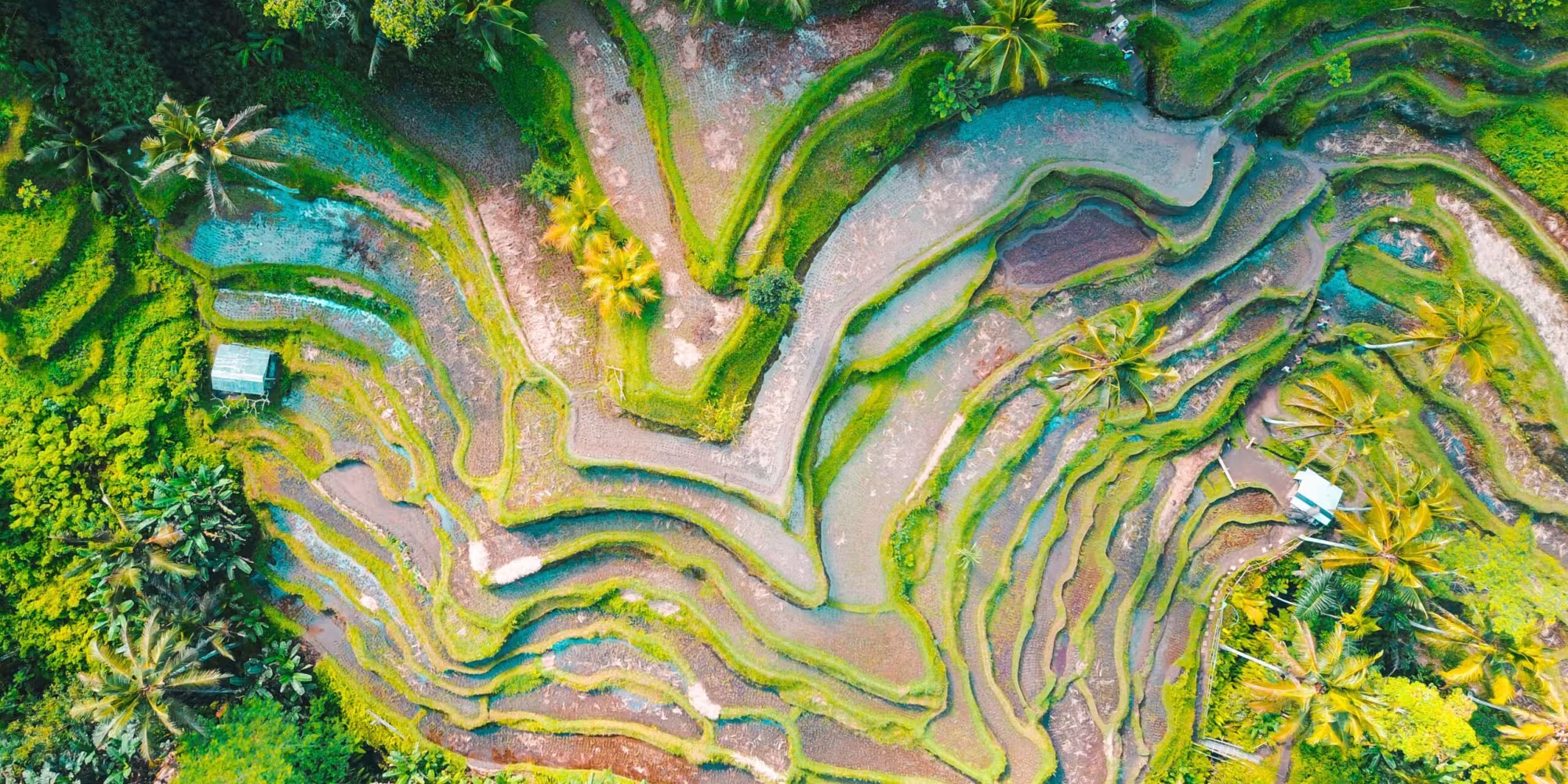unsplash-scaled