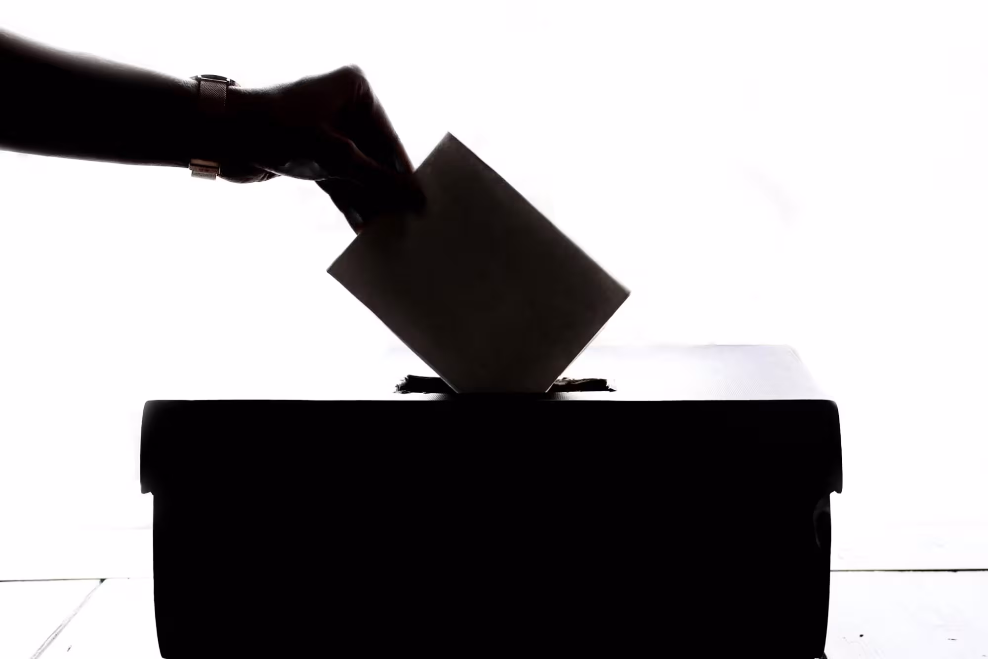 Ballot Paper Voting Website Header 