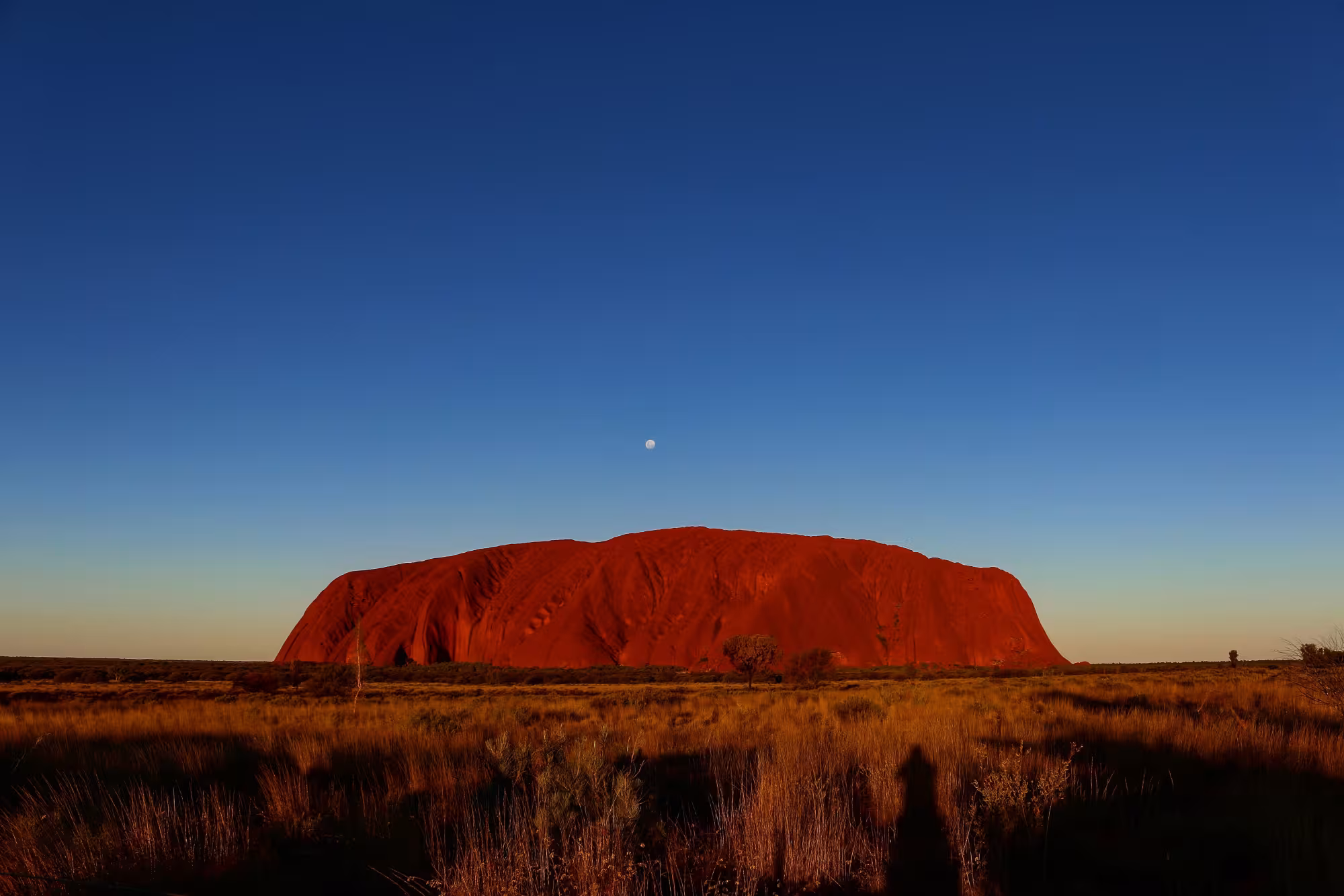 Uluru at Sunrise 